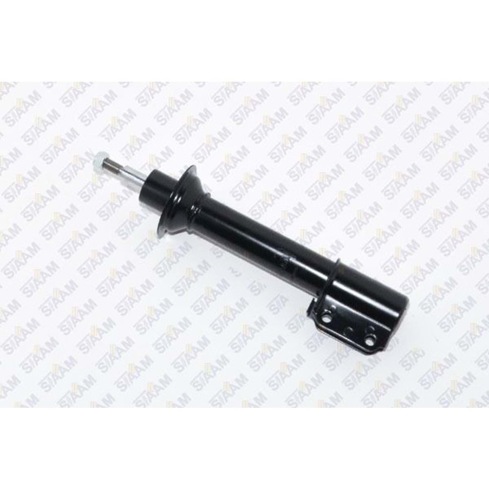 AMORTISOR ON GAZLI R19