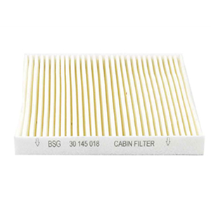 POLEN FILTRESI FORD TRANSIT V347 TOURNEO 2.2 TDCI 06>