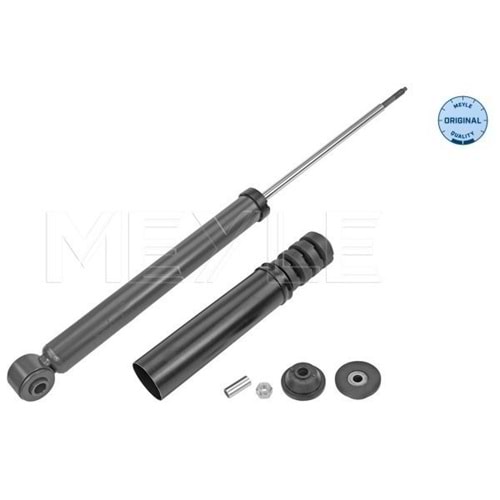 AMORTISOR ARKA LOGAN SANDERO SYMBOL II