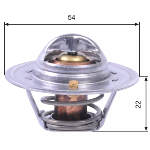 TERMOSTAT 60 ° ANADOL 2-4 TRAKTOR BM