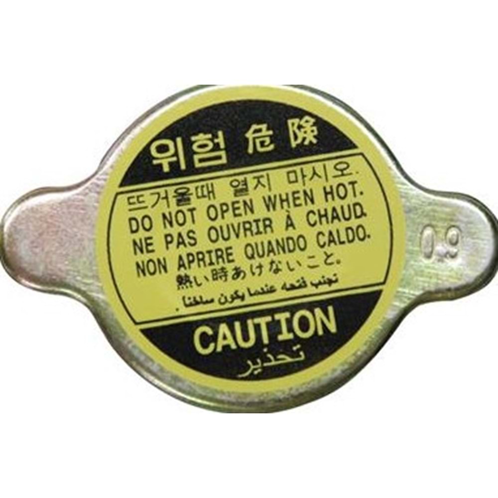 RADYATOR KAPAGI JAPON UZUN TIP