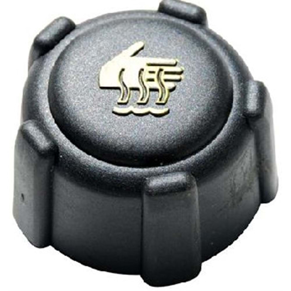 RADYATOR YEDEK SU DEPO KAPAGI MEGANE II III FLUENCE MASTER II CLIO II III DOKKER SYMBOL