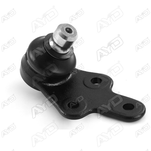 SALINCAK SOL ON ROTILI FOCUS 2011