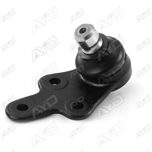 SALINCAK SAG ON ROTILI FOCUS 2011