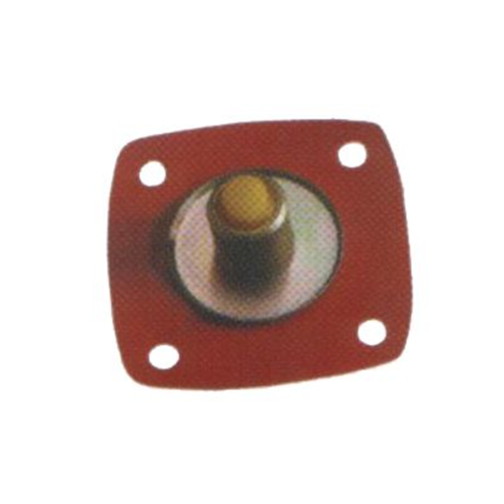 KAPIS DIYAFRAMI BASMALI EM. R12