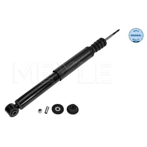 AMORTISOR ARKA SCENIC II 2003 - 2009