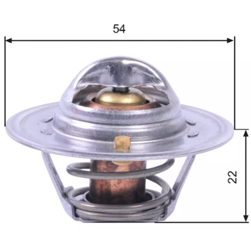 TERMOSTAT 71 ° TAUNUS 76-