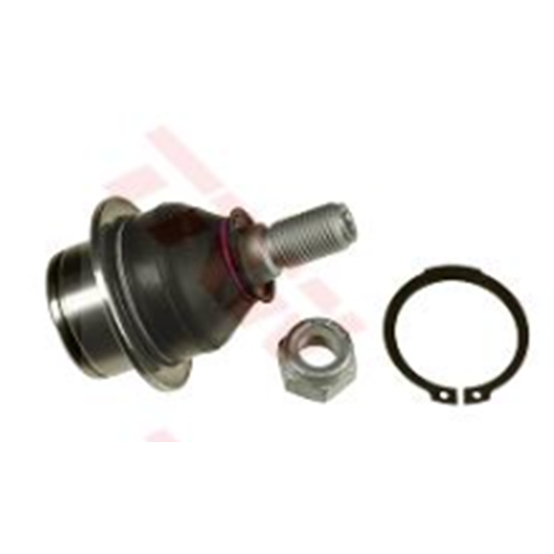 ROTIL FORD V363 CUSTOM