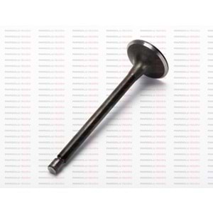 SUBAP TK EKSOZ STD ANADOL