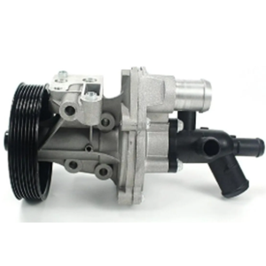 DEVIRDAIM TRANSIT V347 06> BUYUK KASNAK